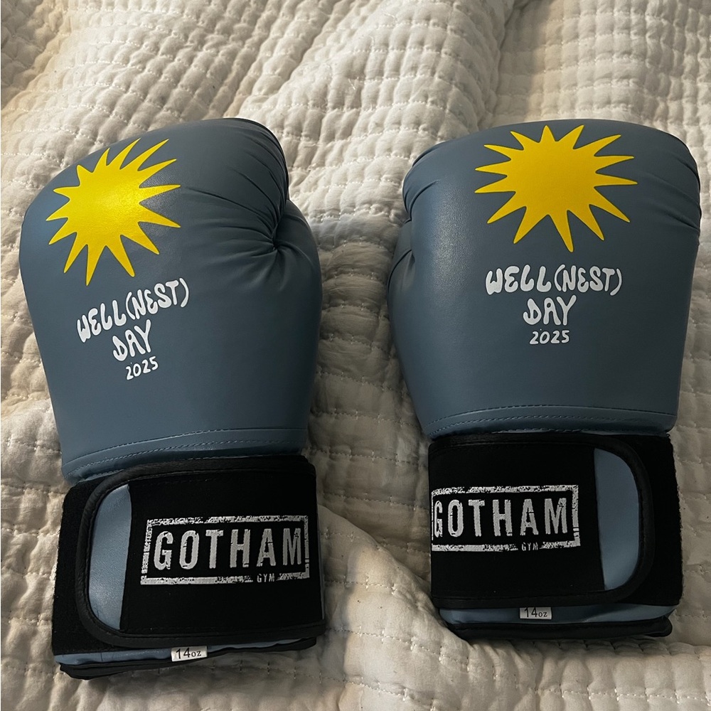 Brand New Boxing Gloves